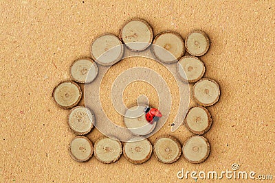 Home made of wood slices and ladybug on recycled paper background Stock Photo