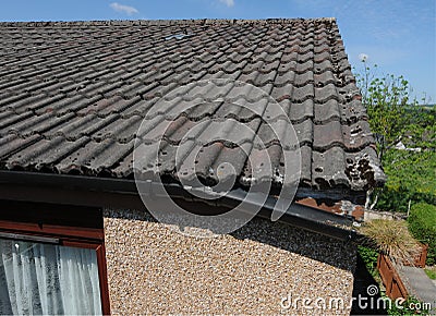 Home Maintenance Building Repair Broken Gutter Drain Damage Front View Stock Photo