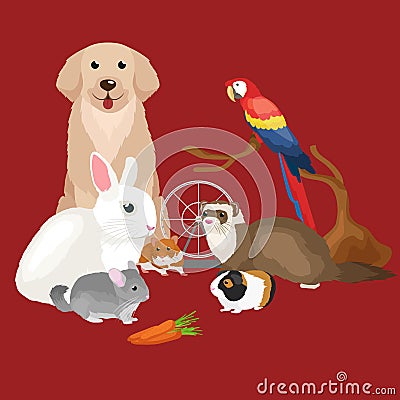 Home pets set, cat dog parrot goldfish hamster, domesticated animals Vector Illustration