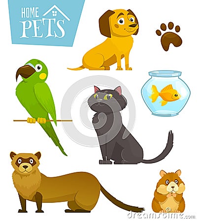 Home pets set isolated on white, cat dog parrot goldfish hamster ferret, cartoon vector illustration Vector Illustration