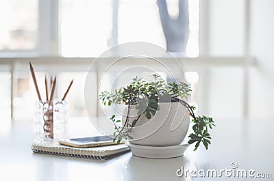 Home plant, business notepad and smartphone in backlight Stock Photo