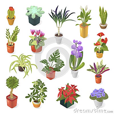 Home plant for green home decoration isometric icon set Vector Illustration