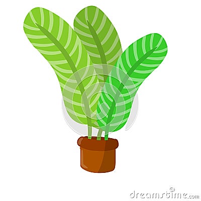 Home plant in pot. Large green leaves Vector Illustration