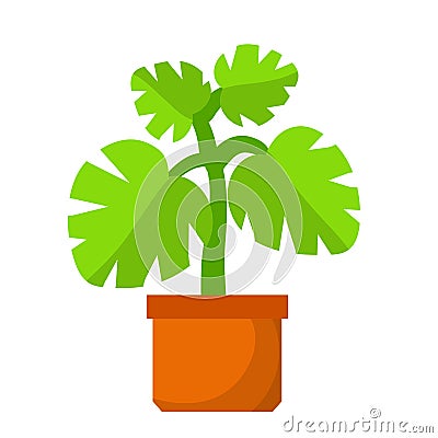 Home plant in pot. Large green leaves.Element of decoration and gardening. Cartoon flat illustration. Hobbies and flora Vector Illustration