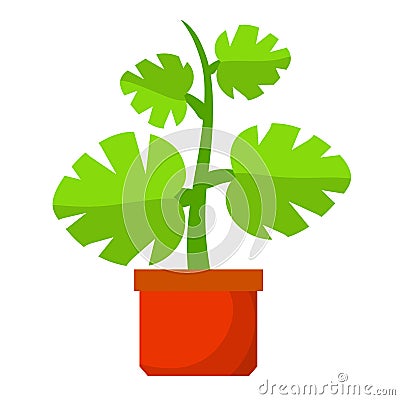 Home plant in pot. Large green leaves.Element of decoration and gardening. Cartoon flat illustration. Hobbies and flora Vector Illustration