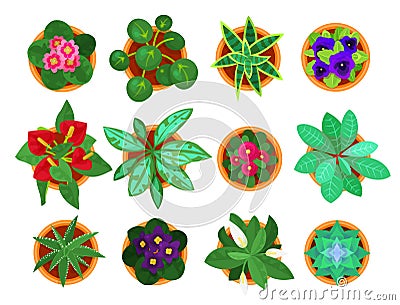 Home plant top view set, houseplants for home interior Vector Illustration