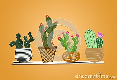 Home plants cactus in pots and with flowers Stock Photo