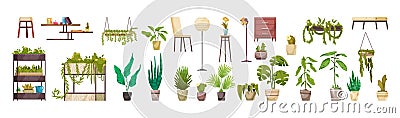 Home Plants Horizontal Set Vector Illustration