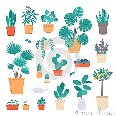 Home plants. Indoor potted flowers, interior live decorations, ficuses, cacti and succulents, room greenhouse, exotic Vector Illustration
