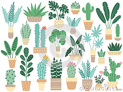 Home plants in pots. Nature houseplants, decoration potted houseplant and flower plant planting in pot vector isolated Vector Illustration