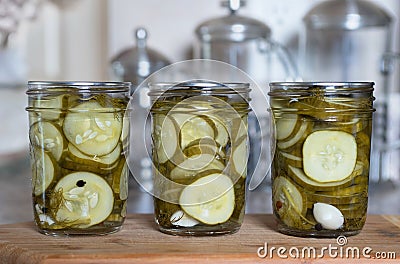 Home Preserved Dill Pickle Slices Stock Photo