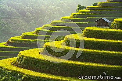 Home on the rice terrace tu le Stock Photo