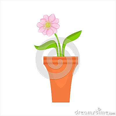 Home Single Pink Flower In The Flowerpot, Flower Shop Decorative Plants Assortment Item Cartoon Vector Illustration Vector Illustration