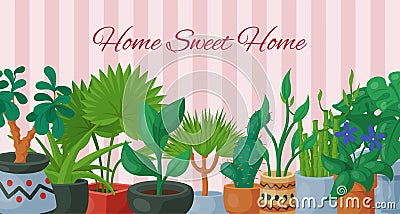 Home sweet home poster with house flowers indoor floriculture vector illustration. Nature decoration gardening. Indoor Vector Illustration