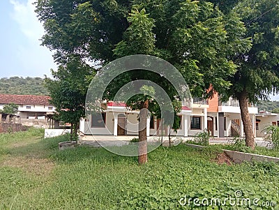 Home trees green grass Stock Photo