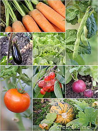 Homegrown garden products Stock Photo