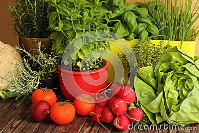 Homegrown herbs and vegetables Stock Photo