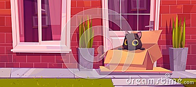 Homeless black cat in cardboard on porch Vector Illustration