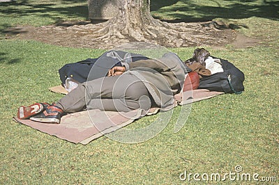Homeless man sleeping in park, Los Angeles, California Editorial Stock Photo