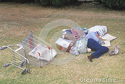 Homeless woman sleeping in a park, Los Angeles, California Editorial Stock Photo