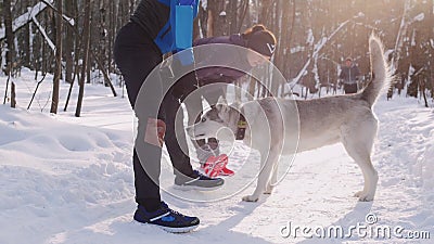 Homem novo e mulher que fazem exercícios no parque da manhã do inverno Aquecer-se O cão ronco branco bonito vem-lhes video estoque Homem novo e mulher que fazem exercícios no parque da manhã do inverno Aquecer-se O cão ronco branco bonito vem-lhes video estoque