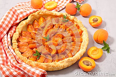 Homemade apricot tart Stock Photo