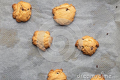 Homemade artisan chocolate cookies on a grey oven paper Stock Photo