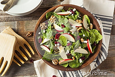 Homemade Autumn Apple Walnut Spinach Salad Stock Photo