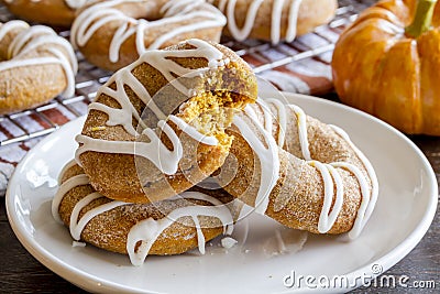 Homemade Baked Cinnamon Pumpkin Donuts Stock Photo