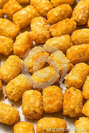 Homemade Baked Fried Tater Tot Potatoes Stock Photo