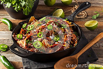 Homemade Barbecue Pulled Pork Nachos Stock Photo