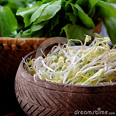 Homemade bean sprouts for food safety, germinate of green beans Stock Photo