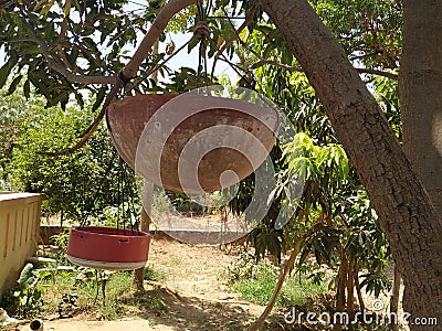 Homemade bird water feeder bird bath Stock Photo