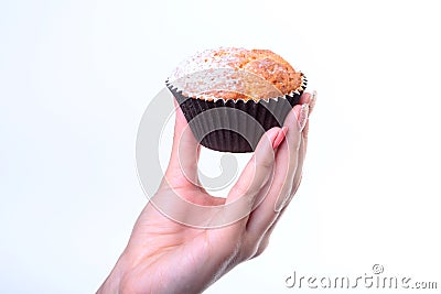 Homemade Blueberry ore chocolate muffins with powdered sugar and fresh berries in woman hand. Stock Photo