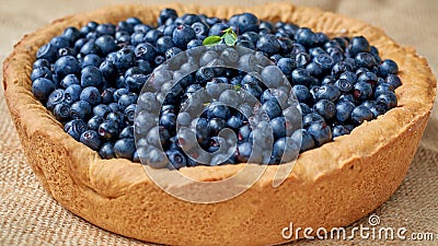 Homemade blueberry pie ready to eat. Summer tart with fresh berries Stock Photo