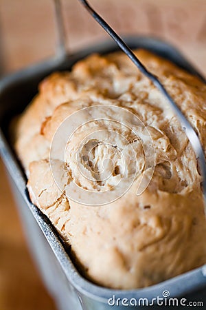 Homemade bread Stock Photo