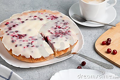 Homemade cake with cranberries and sour cream. Sweet pastries Stock Photo