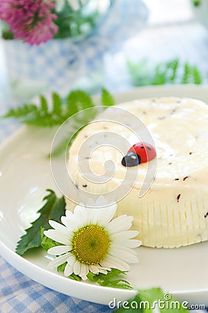 Homemade cheese Stock Photo