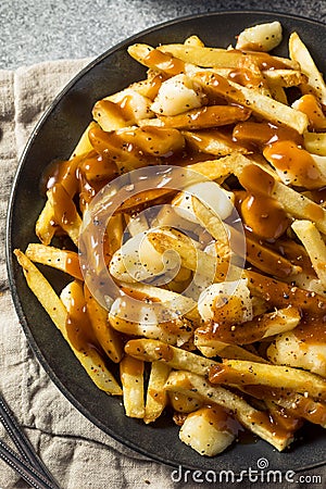 Homemade Cheesey Poutine French Fries Stock Photo