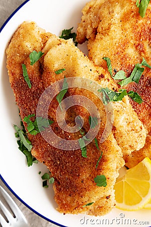 Homemade Chicken Cutlets on a Plate, top view. Flat lay, overhead, from above. Close-up Stock Photo