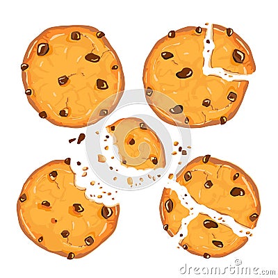 Homemade choco chip cookies with chocolate crisps isolated on white background. Bitten, broken, cookie crumbs. Vector illustration Cartoon Illustration