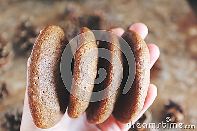 Homemade chocolate cookies for snack. Chocolate chip cookies shot in ceramic jar Stock Photo