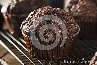 Homemade Dark Chocolate Muffins Stock Photo