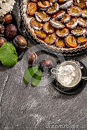 Homemade delicious plum tart with with sugar powder placed on the table Stock Photo