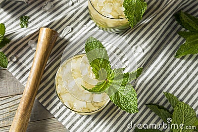 Homemade Derby Mint Julep Stock Photo