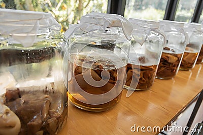 Homemade drink in a glass bottle jar Kombucha SCOBY symbiotic culture of bacteria and yeast Stock Photo