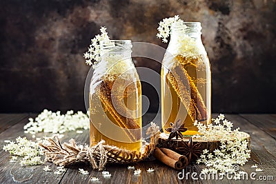 Homemade fermented cinnamon and ginger kombucha tea infused with elderflower. Healthy natural probiotic flavored drink. Stock Photo