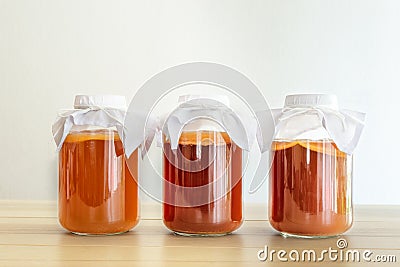 Homemade fermented drink Kombucha SCOBY Stock Photo