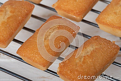 Homemade financier cake, french pastry Stock Photo