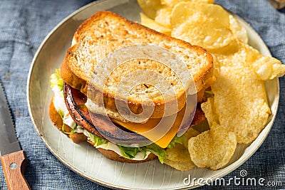 Homemade Fried Bologna Sandwich Stock Photo